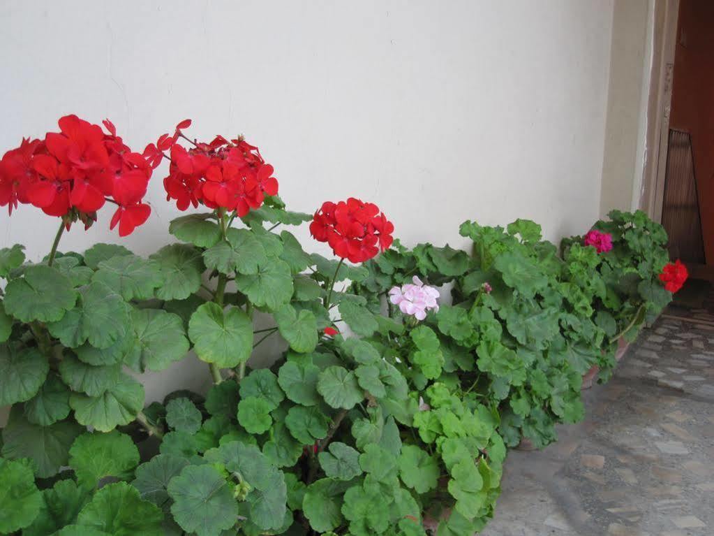 Tasi Dhargey Inn Катманду Екстериор снимка
